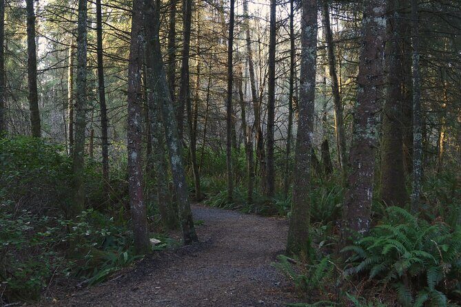 Oregon Coast Self Guided Audio Driving Tour - FAQ
