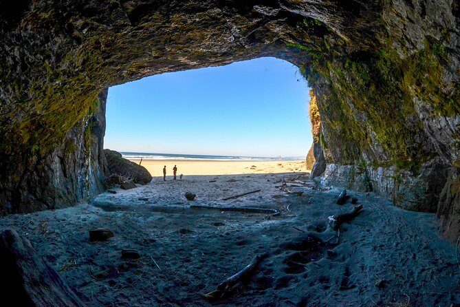 Oregon Coast Sightseeing Tour - The Value of a Private Guide