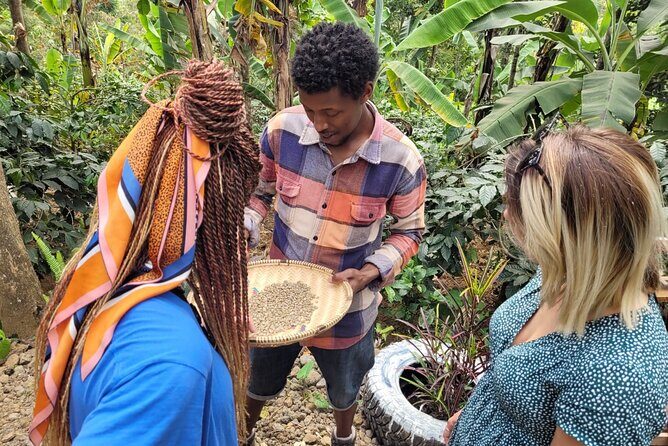 Organic Coffee Tour and Local Food Experience in Arusha - Who Will Love This Tour?