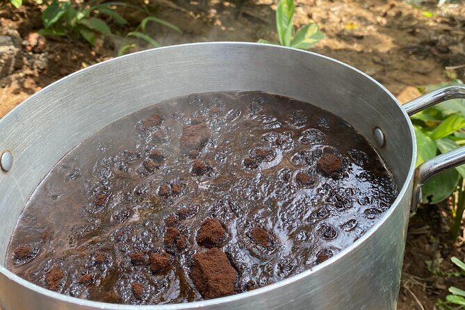 Organic Coffee Tour and Local Food Experience in Arusha - The Sum Up