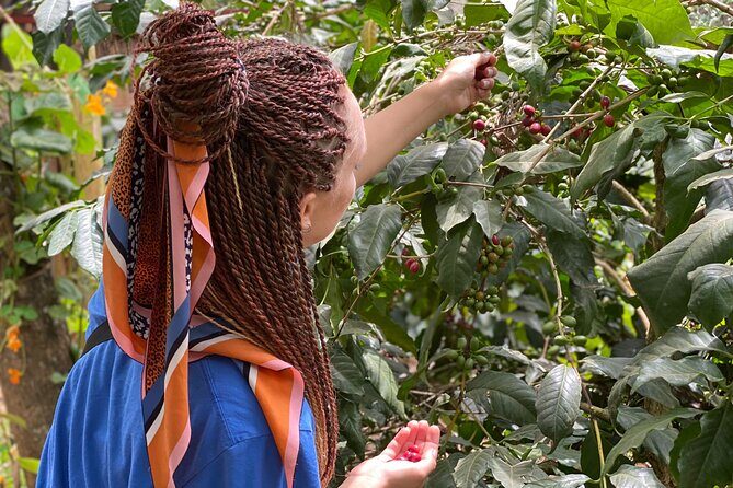 Organic Coffee Tour and Local Food Experience in Arusha - FAQ