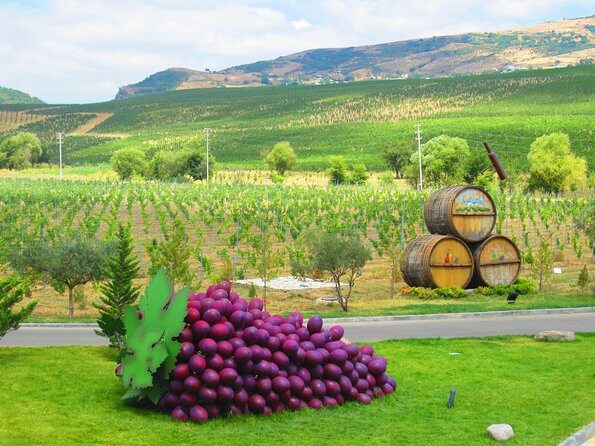 Organic Wine Tour Shamakhi with Local Lunch - Exploring the Details of the Organic Wine Tour in Shamakhi