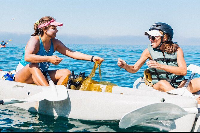 Original La Jolla Sea Cave Kayak Tour for Two - The Experience and Its Highlights