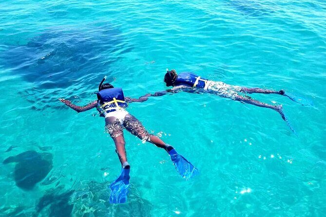 Original Snorkel and Sandbar Combo in Islamorada - What To Expect on the Tour