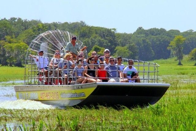 Orlando: Airboat Safari with Transportation - Key Points