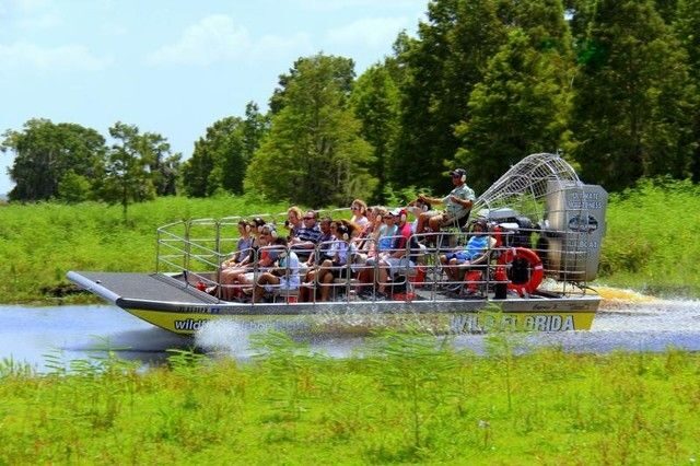 Orlando: Airboat Safari with Transportation - The Itinerary and What You Can Expect