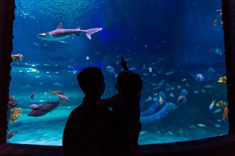 Orlando: All-Inclusive Pass with Kennedy Space Center - Exploring Orlando with the All-Inclusive Pass
