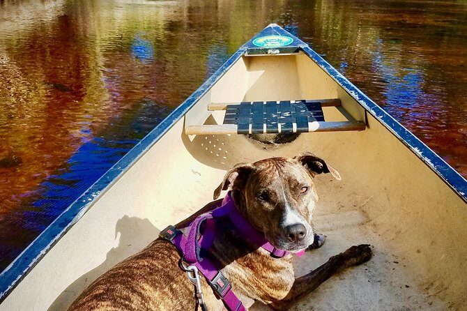 Orlando Alligator Experience - Starting Out: Easy Access and Clear Organization