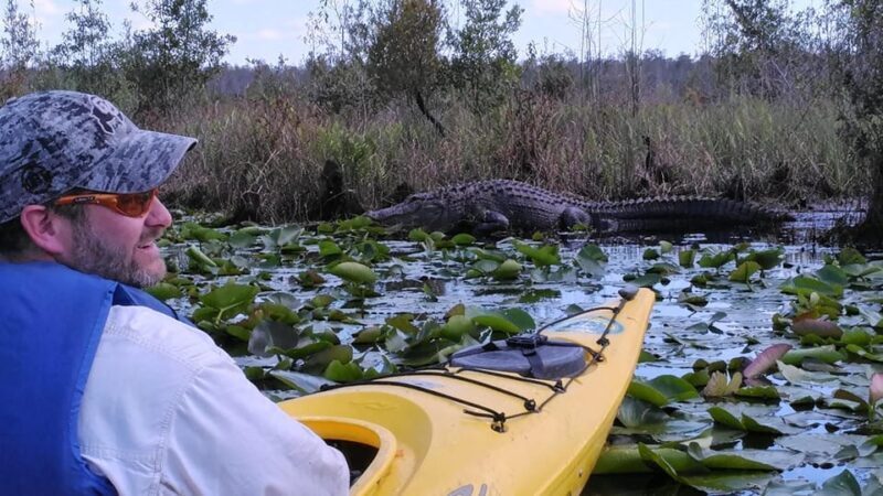 Orlando Alligator Experience: Day-Trip From Orlando - Introduction