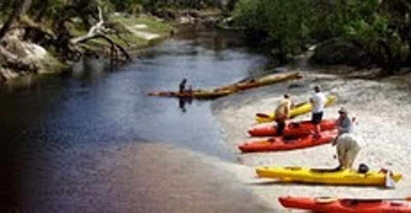 Orlando Alligator Experience: Day-Trip From Orlando - Practical Details & Tips for Travelers
