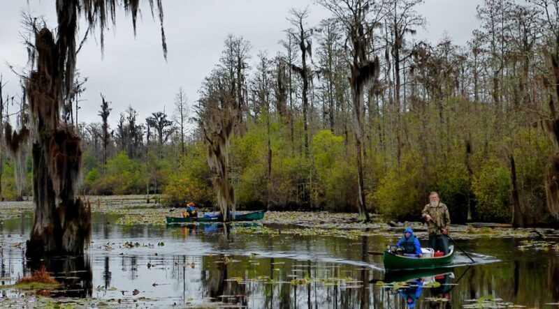 Orlando Alligator Experience: Day-Trip From Orlando - The Sum Up