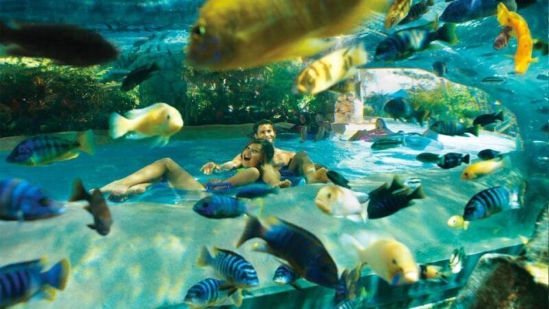 Orlando: Aquatica Water Park Admission Ticket - Orlando: Aquatica Water Park Admission Ticket - A Practical, Balanced Look