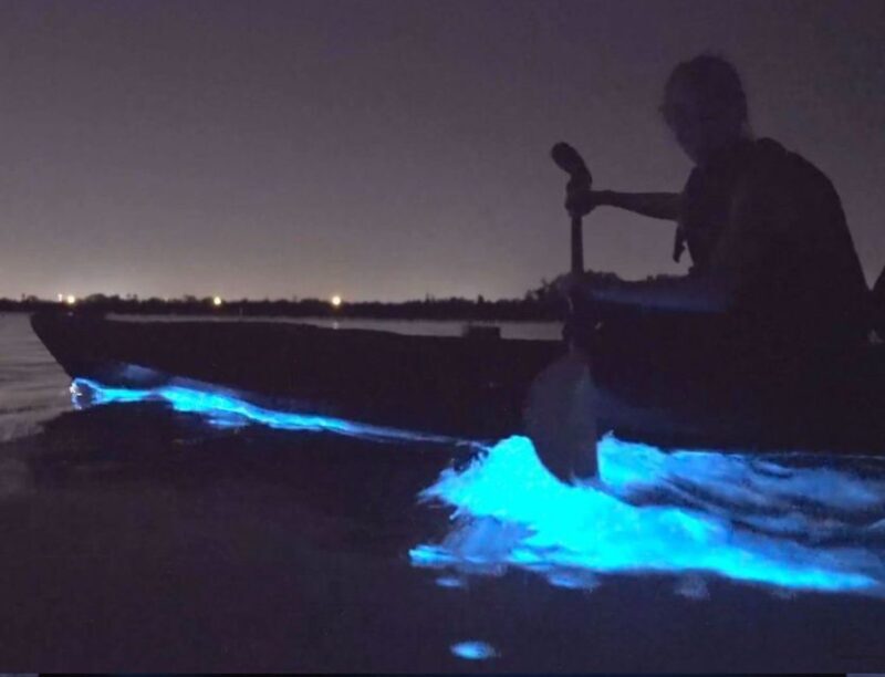Orlando: Bioluminescence Clear Kayaking or Paddleboarding - The Sum Up: Is This Tour Worth It?