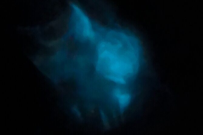 Orlando Bioluminescence Kayak Adventure - What Is This Tour All About?