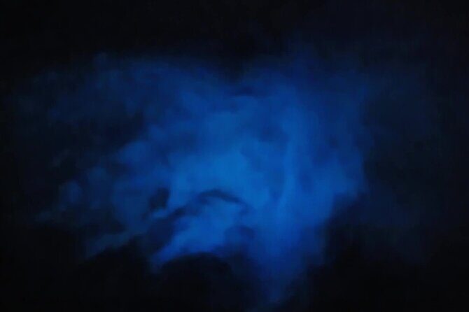 Orlando Bioluminescence Kayak Adventure - The Guides and Group Size