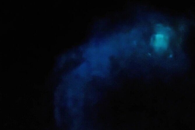 Orlando Bioluminescence Kayak Adventure - Pricing and What’s Included
