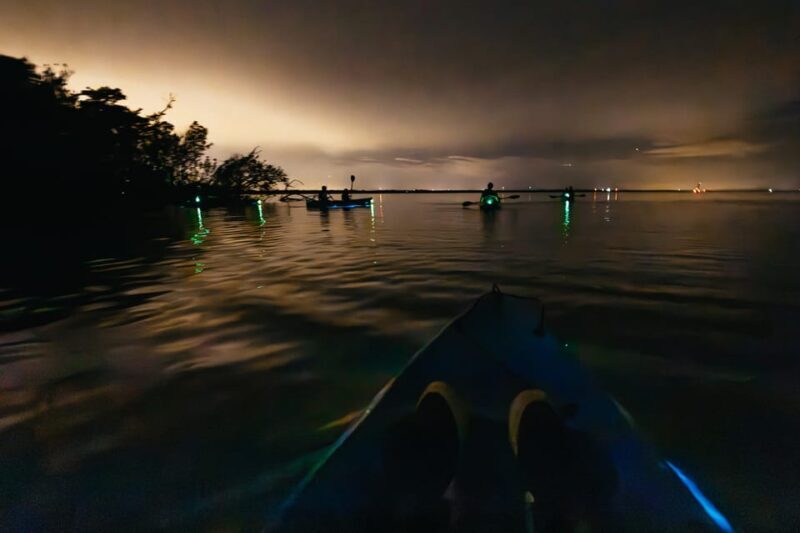 Orlando: Bioluminescence Kayak Tour - Who Will Love This Tour?