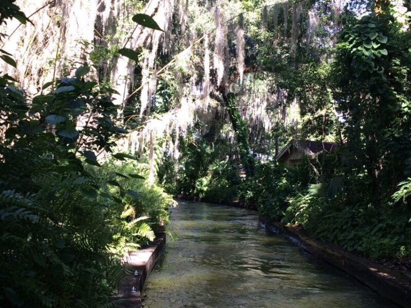 Orlando: City Highlights and Hidden Gems Tour - Why This Tour Is a Great Choice