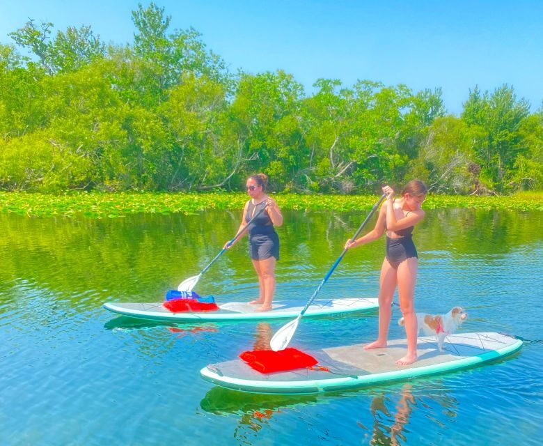 Orlando: Clear Kayak and Paddleboard 2-Hour Rental - Final Thoughts