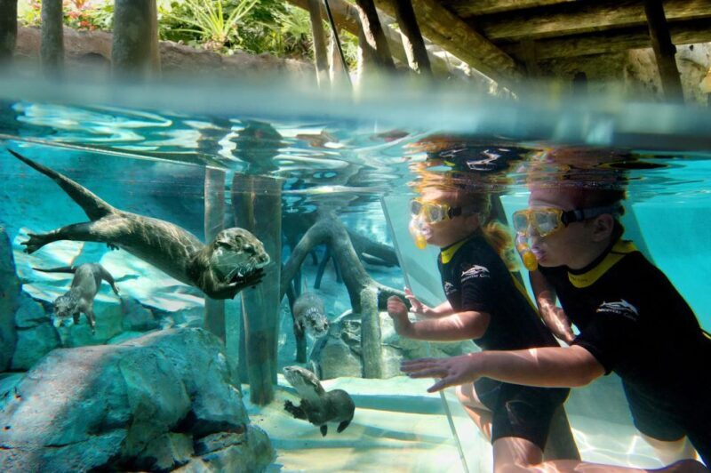 Orlando: Discovery Cove Admission Ticket & Additional Parks - The Value of the Price Tag