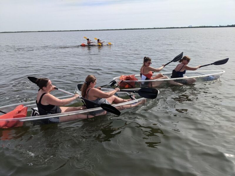 Orlando: Dolphin Clear Kayak or Paddle Board Adventure - Key Points