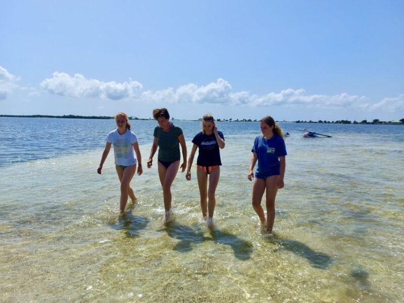 Orlando: Dolphin Clear Kayak or Paddle Board Adventure - Who Would Love This Tour?