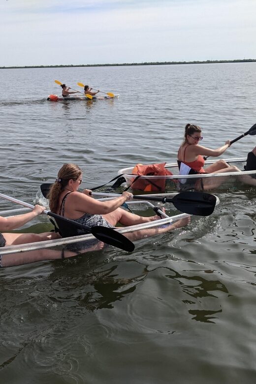 Orlando: Dolphin Clear Kayak or Paddle Board Adventure - Final Thoughts