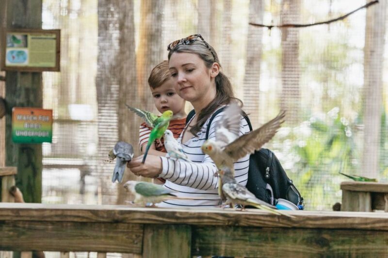 Orlando: Drive-Thru Safari Park at Wild Florida - The Experience for Different Travelers