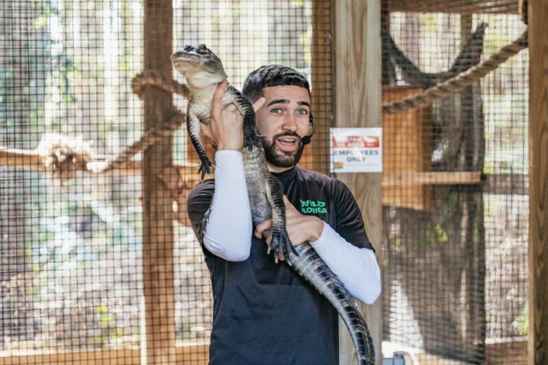 Orlando: Drive-Thru Safari Park at Wild Florida - Practical Tips for a Smooth Visit