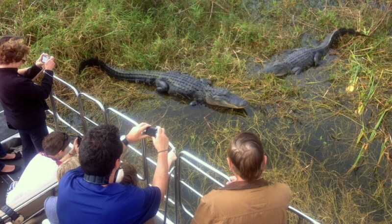Orlando: Everglades Airboat Ride and Wildlife Park Ticket - The Bottom Line: Who Should Consider This Tour?