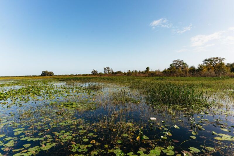 Orlando: Florida Everglades Wildlife Airboat Tour - FAQ