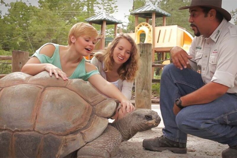 Orlando: Gatorland Interactive Tour with Animal Trainer - An In-Depth Look at the Gatorland Interactive Tour