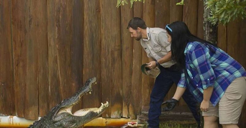 Orlando: Gatorland Interactive Tour with Animal Trainer - The Sum Up