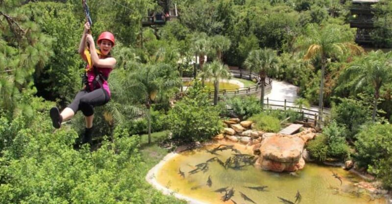 Orlando: Gatorland Zipline Adventure w/ Full-Day Park Access - What to Expect: The Itinerary and Experience