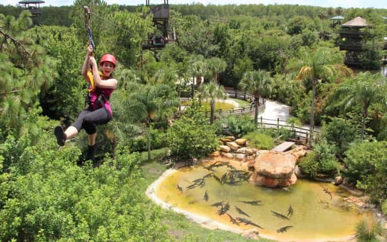 Orlando: Gatorland Zipline Adventure w/ Full-Day Park Access - The Experience from Reviews