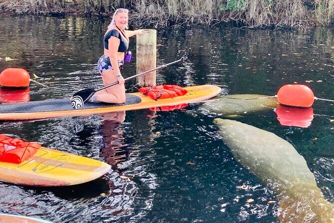 Orlando Manatee and Natural Spring Adventure Tour at Blue Springs - What to Expect from the Tour