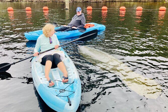 Orlando Manatee and Natural Spring Adventure Tour at Blue Springs - Meeting Point and Logistics