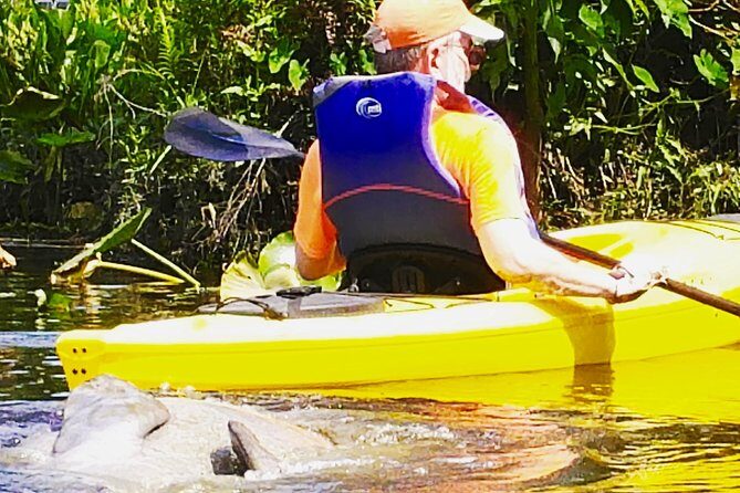 Orlando Manatee Encounters - Key Points