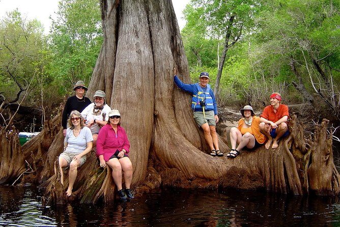 Orlando Manatee Encounters - The Value of This Tour