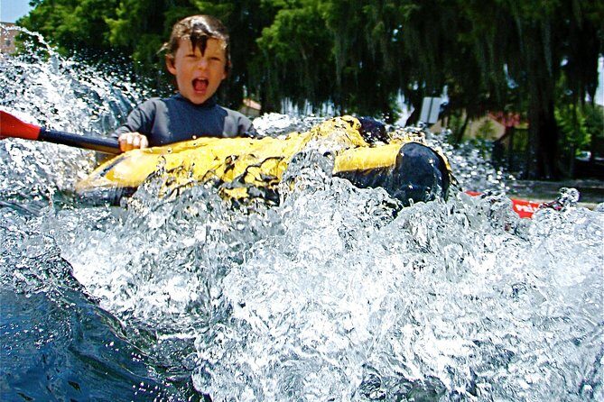 Orlando Manatee Encounters - Practical Tips for Future Participants