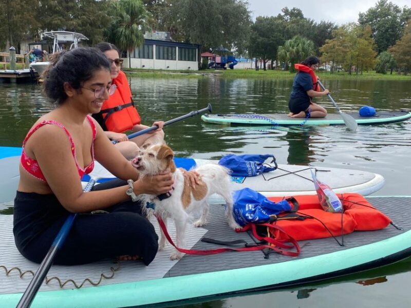 Orlando: Paddle with Pups in Paradise - Paddleboard or Kayak - An Overview of the Experience