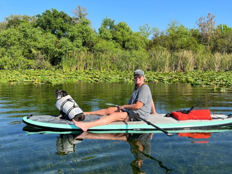 Orlando: Paddle with Pups in Paradise - Paddleboard or Kayak - Why This Tour Is a Great Value