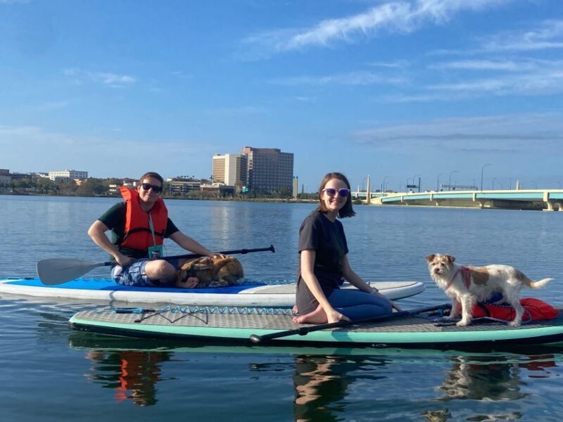 Orlando: Paddle with Pups in Paradise - Paddleboard or Kayak - Practical Tips for Your Paddling Day