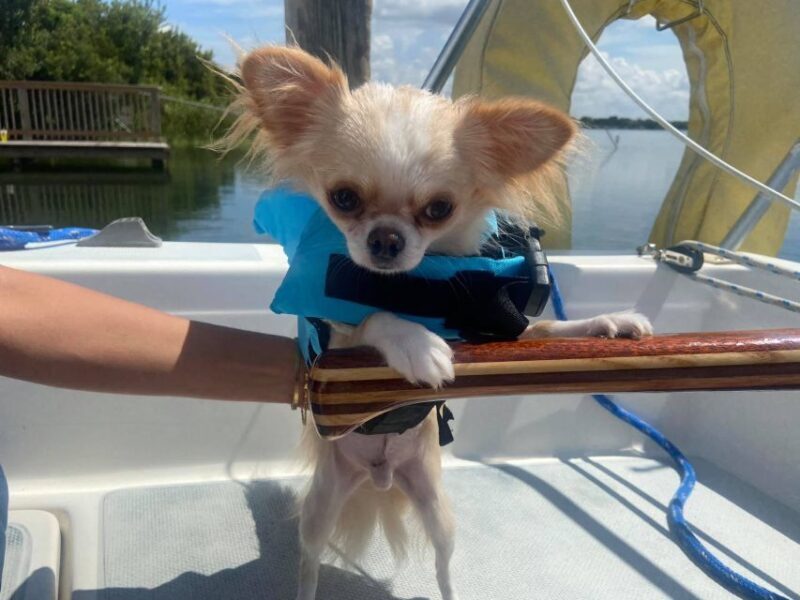Orlando: Sailing Tour with Certified Sailing Instructor - The Sum Up