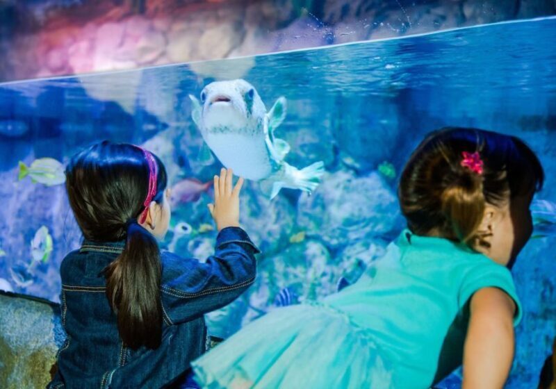 Orlando: SEA LIFE Orlando Aquarium - Who Will Love This Tour?