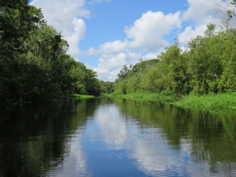 Orlando: Small Group Manatee Discovery Kayak Tour - What You Can Expect from This Kayak Tour