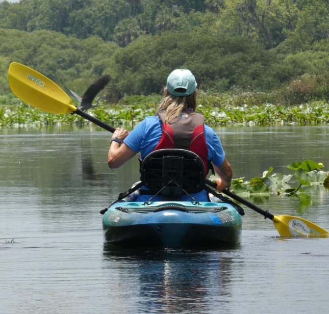 Orlando: Small Group Scenic Wekiva River Kayak Tour - A Detailed Look at the Wekiva River Kayak Tour