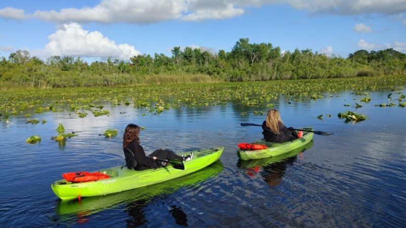 Orlando: Sunset guided kayaking tour - An Honest Look at the Orlando Sunset Kayaking Tour