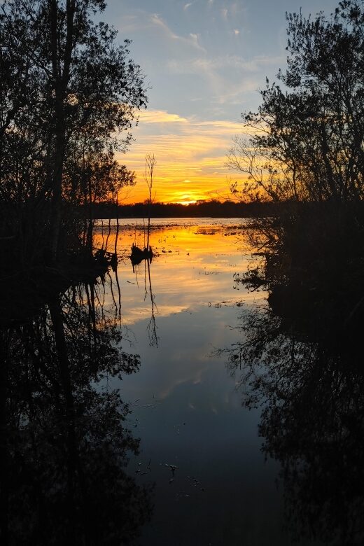 Orlando: Sunset guided kayaking tour - Final Thoughts