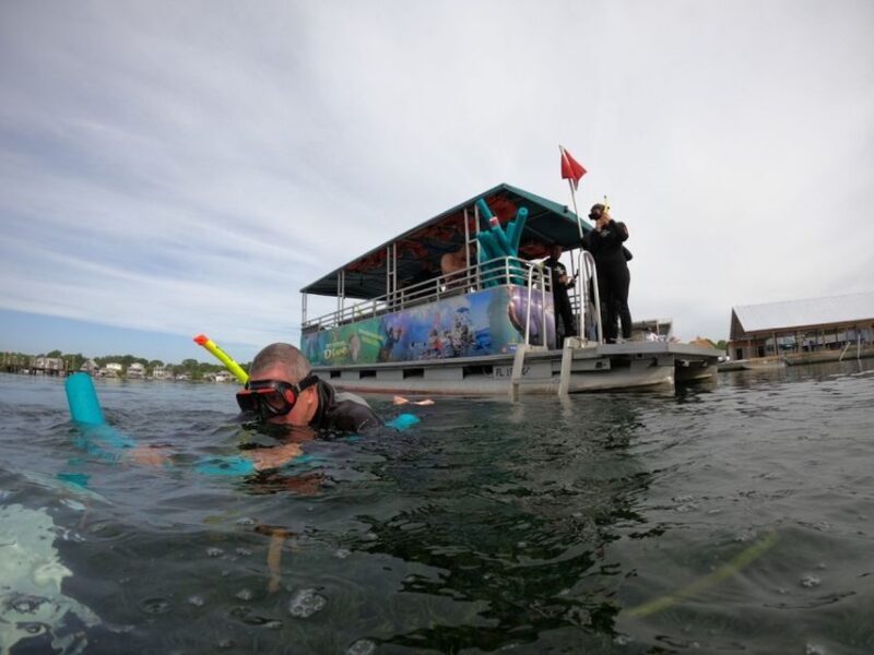 Orlando: Swim with Manatees and Homosassa State Park Visit - An Honest Look at the Tour Experience